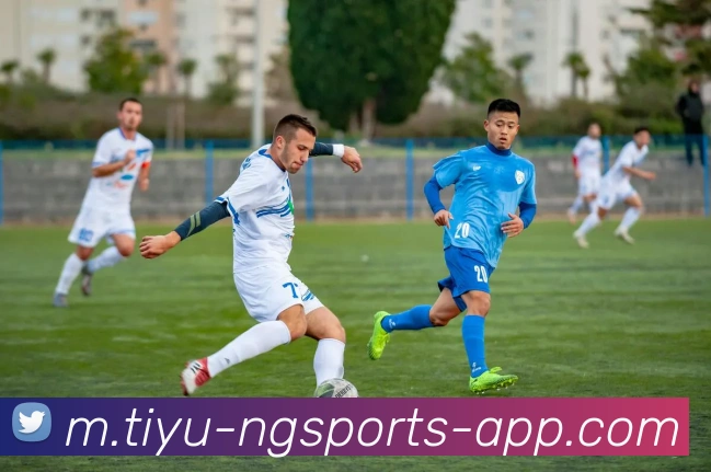 南宫体育平台生态图