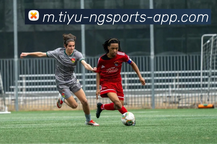 南宫体育全站App